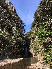 �N���j�b�N�O��